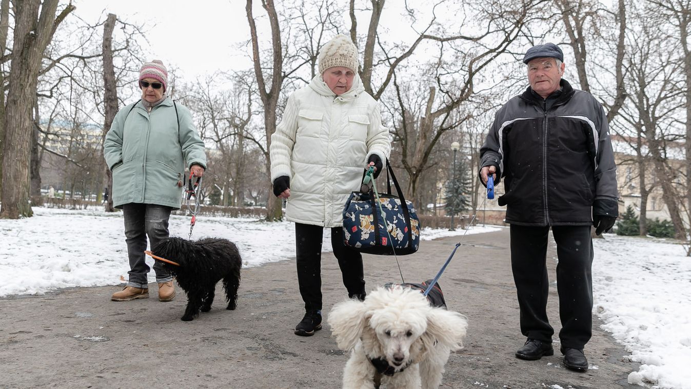 Valóra válhat egy régi álom: új kutyafuttató épülhet Egerben