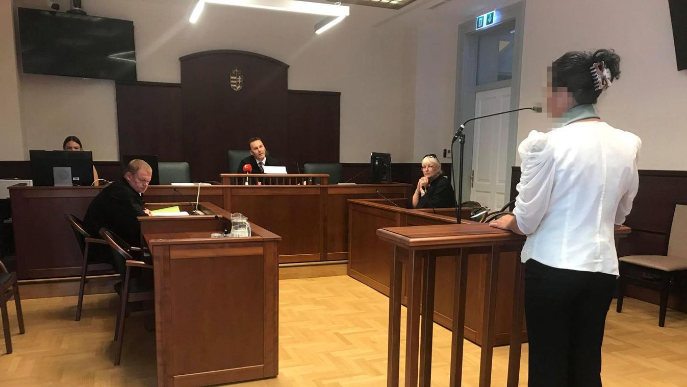 Egy év fogházbüntetésre ítélték azt a nőt, aki miatt patakba fulladt a négyéves Patrícia