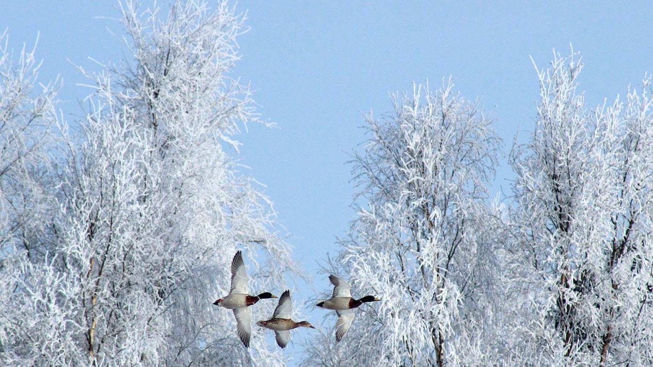 Mit tartogat nekünk a decemberi égbolt