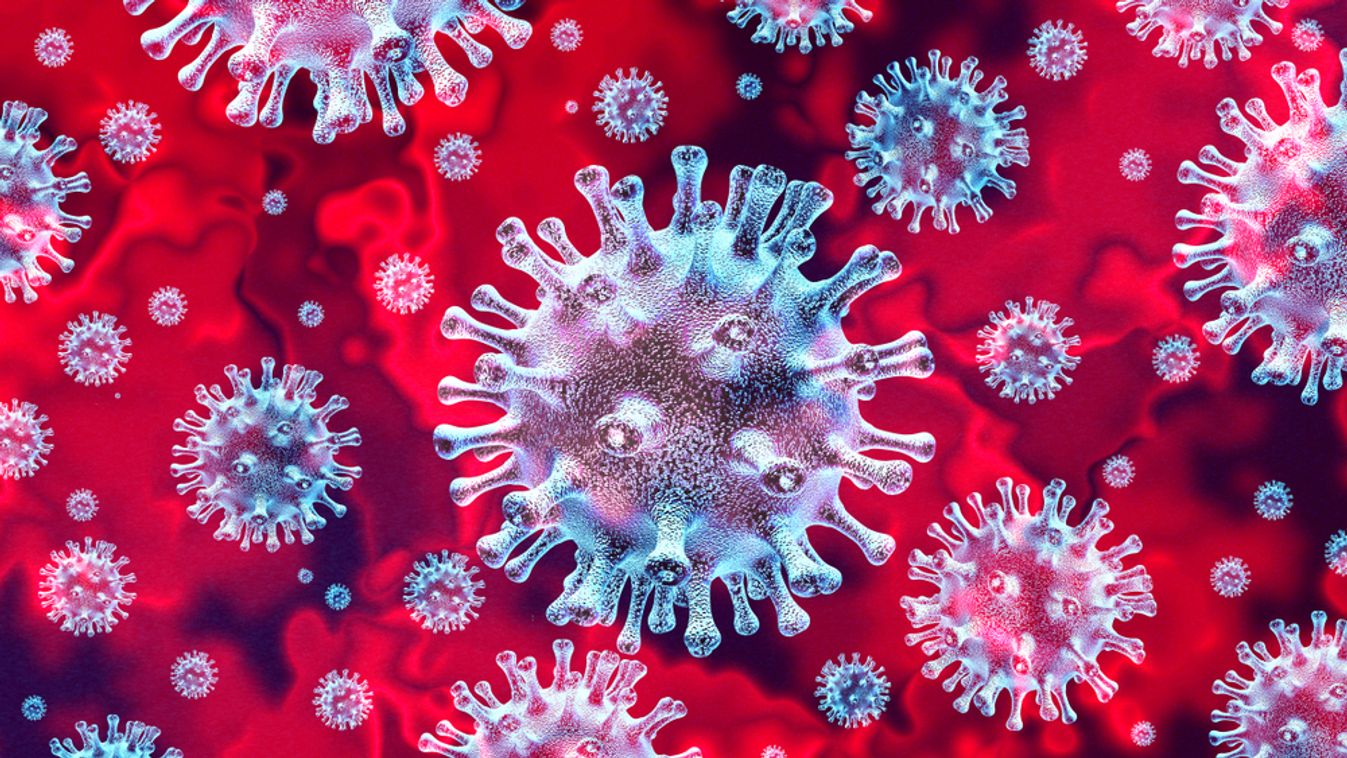 Három kisújszállási biológus mentheti meg a világot a vírustól