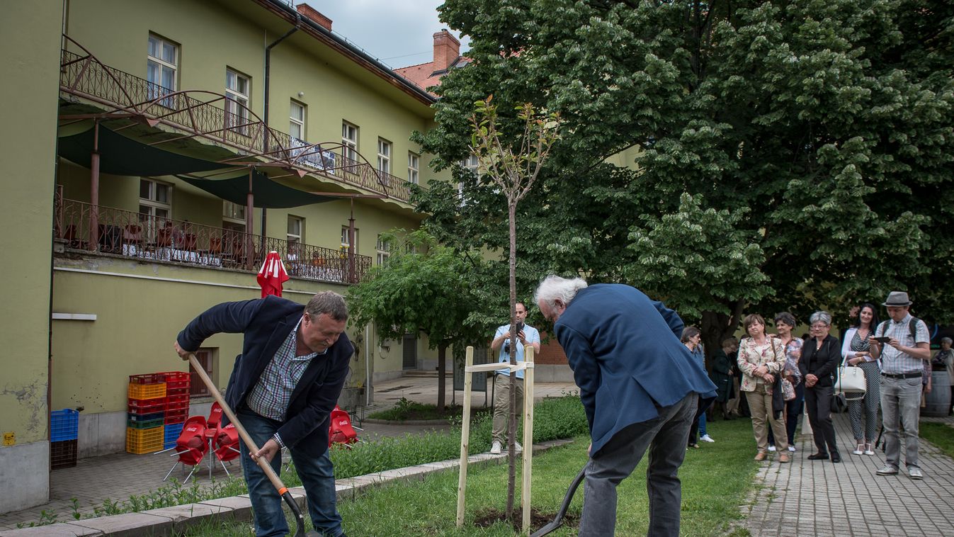 Könyvtári emlékfát ültettek Gyöngyösön – FOTÓK