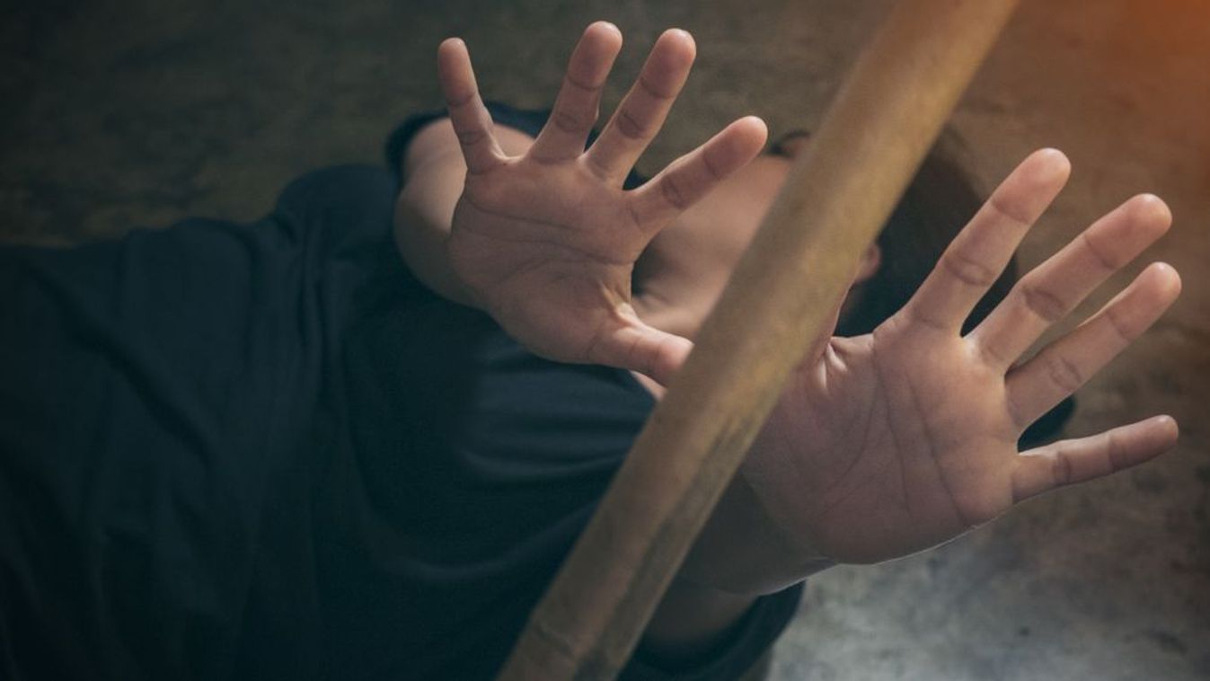 Vascsővel és karóval támadt két férfi az erdőtelki családra, gumilövedékekkel zavarták el őket