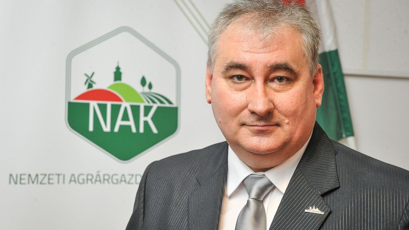 Az állattenyésztők vannak a leginkább bajban, hiány lehet tejből, húsból