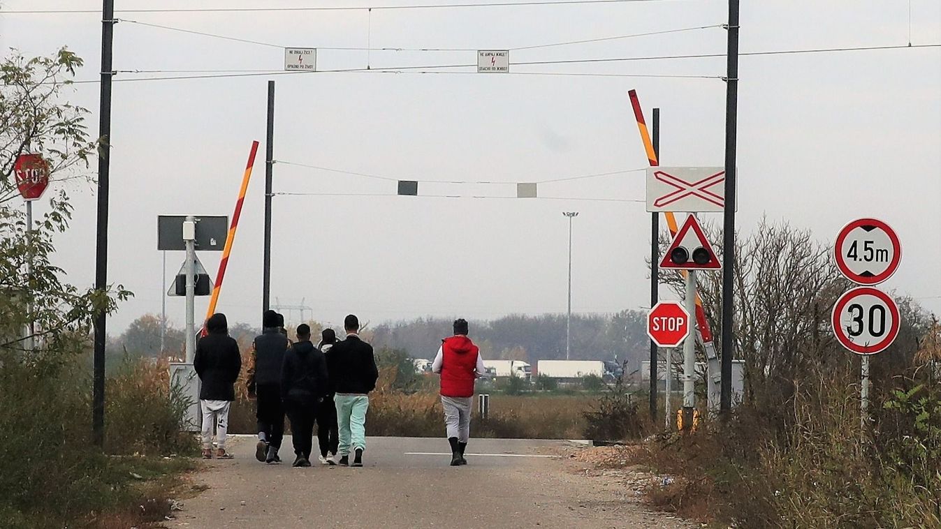 Migránsok lövöldöztek a szerb–magyar határon