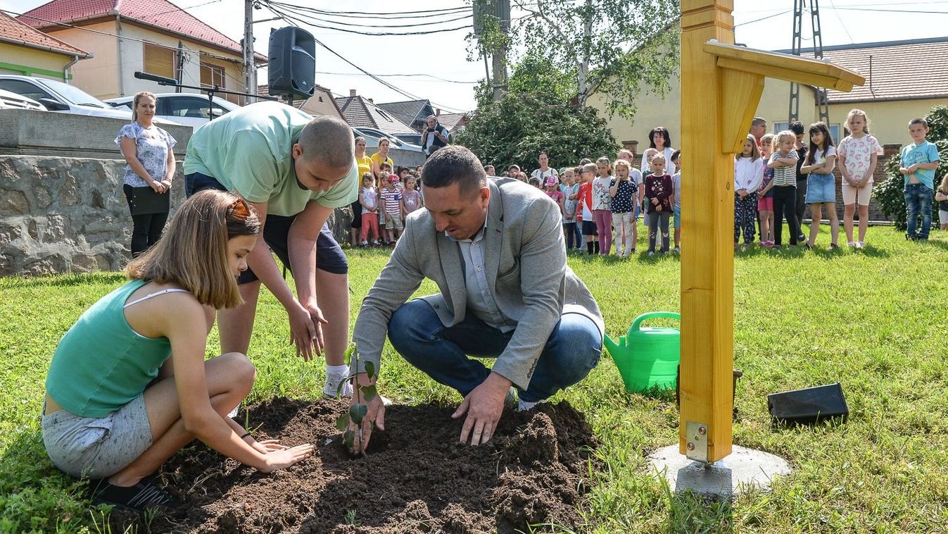 Petőfi körtefáját ültették el Gyöngyöstarjánban