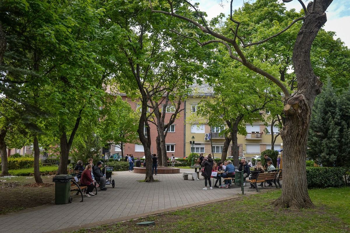 A gyöngyösi parkfenntartás a ZÖFE feladata marad