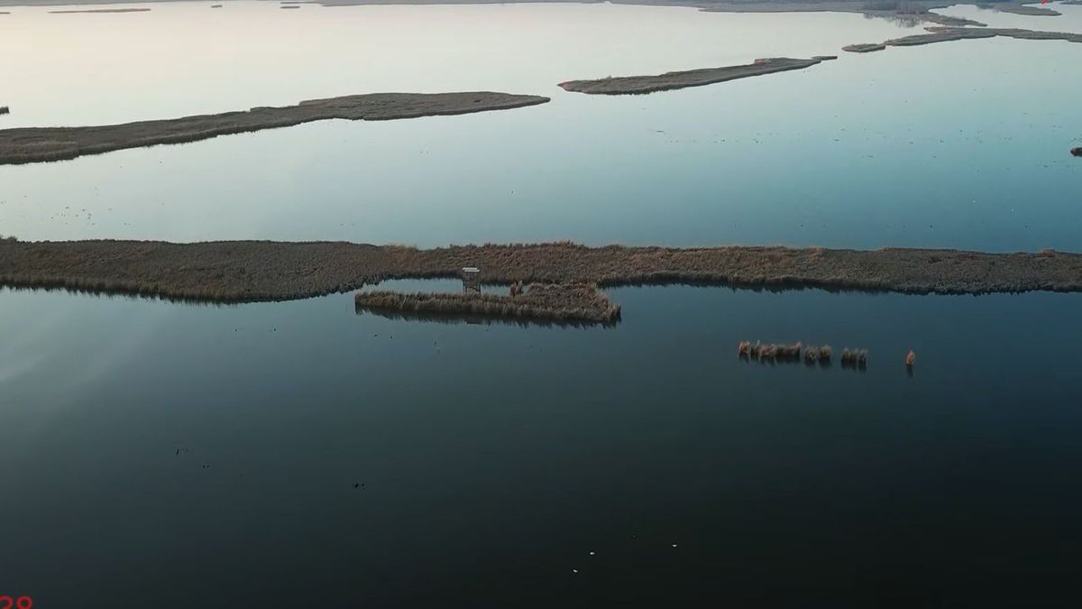 Csodálatos látvány a Tisza-tó Fodor László felvételein