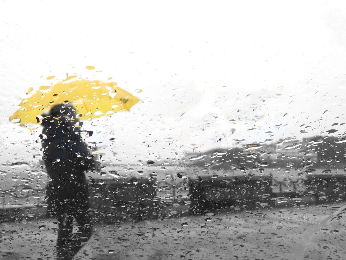 People in the rain, rainy
eső, tavasz, borult