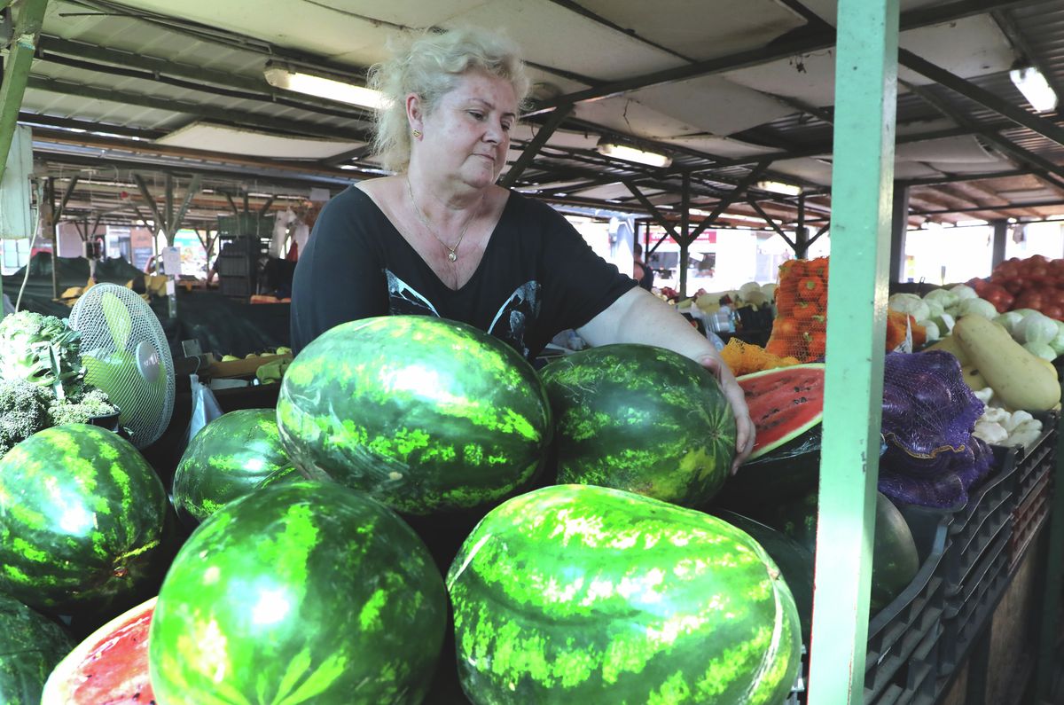 Nemsokára kapható lesz a piacokon a dinnye