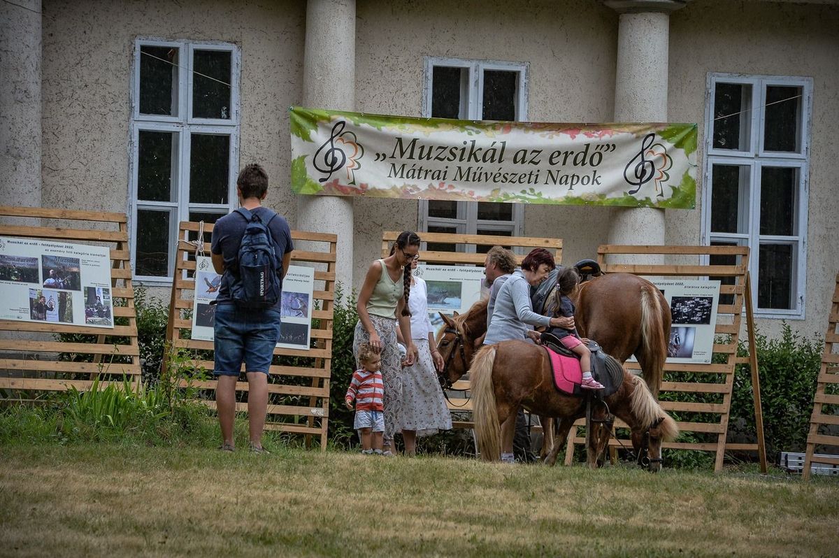 A Mátrai Művészeti Napok nyitónapján a rajzok mellett fotókból is kiállítás nyílik