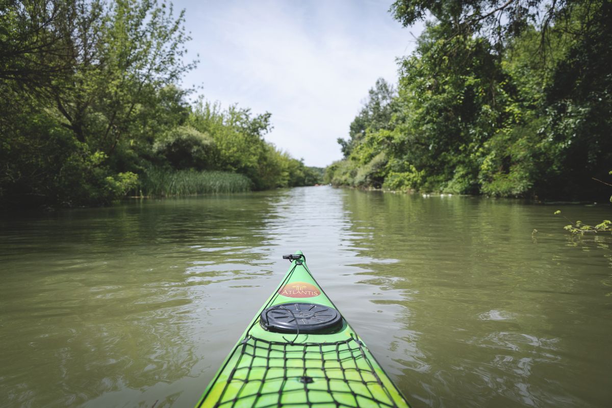 A Tisza-tó négy medencéjében is kaszálják a hínárt