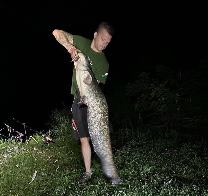 150 centis, 20 kilós harcsát fogtak a Tisza-tóból