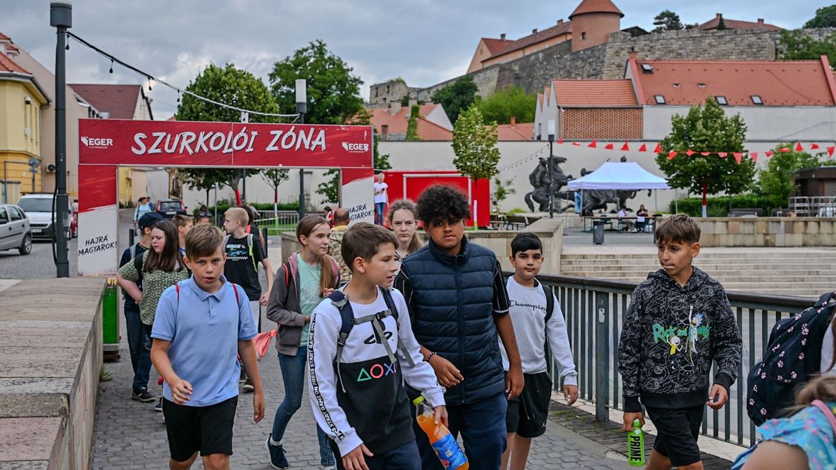 A szurkolói zónákat is ellenőrizte a Nébih