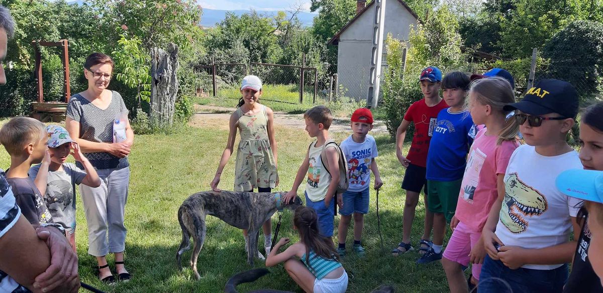 A nagyrédei gyapjas mamutok nyomát is kutatták