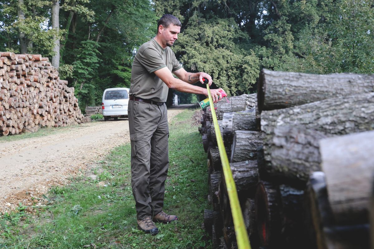 © Cseh Gábor
Bár a hőségben nem könnyű a fűtésre gondolni, nem árt előre gondoskodni a téli tüzelőről