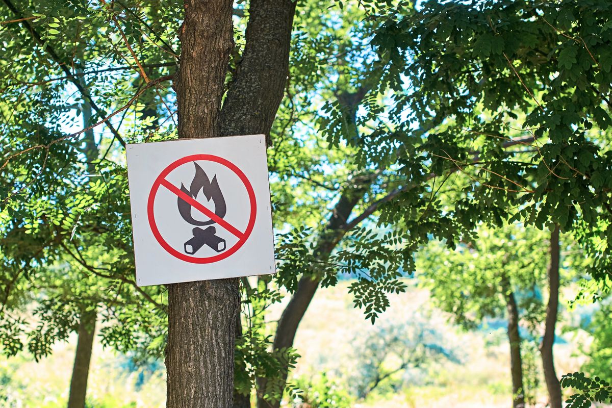 No,Fire,Sign,In,A,Summer,Forest
tűzgyújtási tilalom