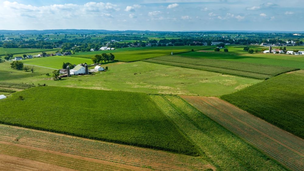 An,Expansive,Farmland,With,Rows,Of,Crops,And,Barns