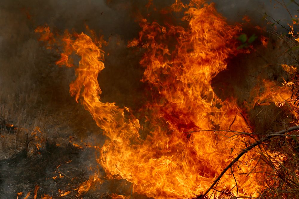 Summer,Wildfires,Burning,In,The,Forest,At,Rural,Area,Of, Két hektárnyi bozótos égett Átánynál