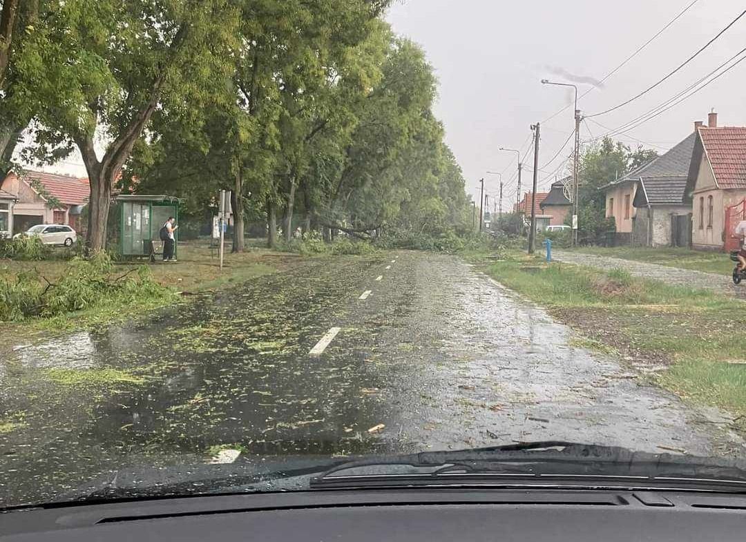 A keddi vihar után eltorlaszolja egy fa az úttestet Lőrinciben