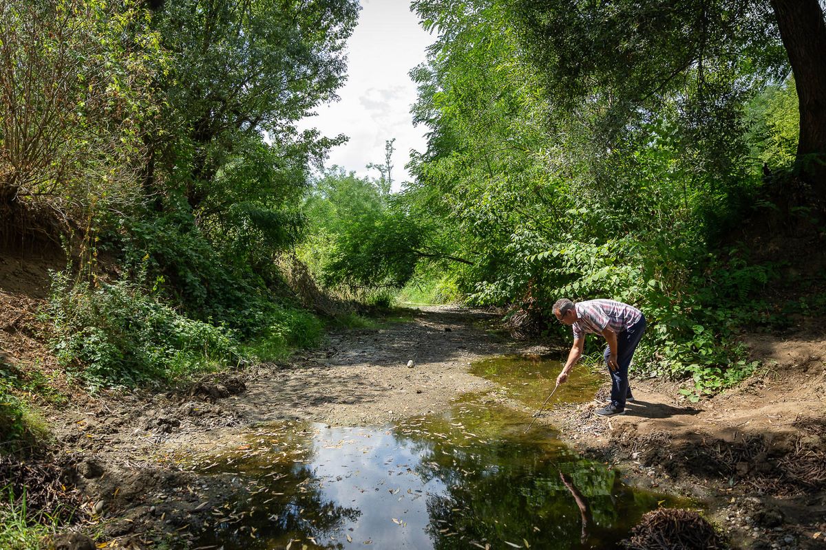 A Tarna patak vizével öntözték a szőlőt Aldebrő mellett