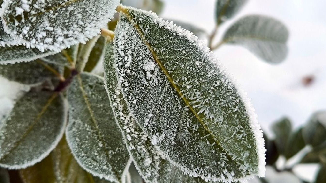 HEOL – Több fokkal is 0 Celsius alá csúszott a hőmérséklet a Bükkben