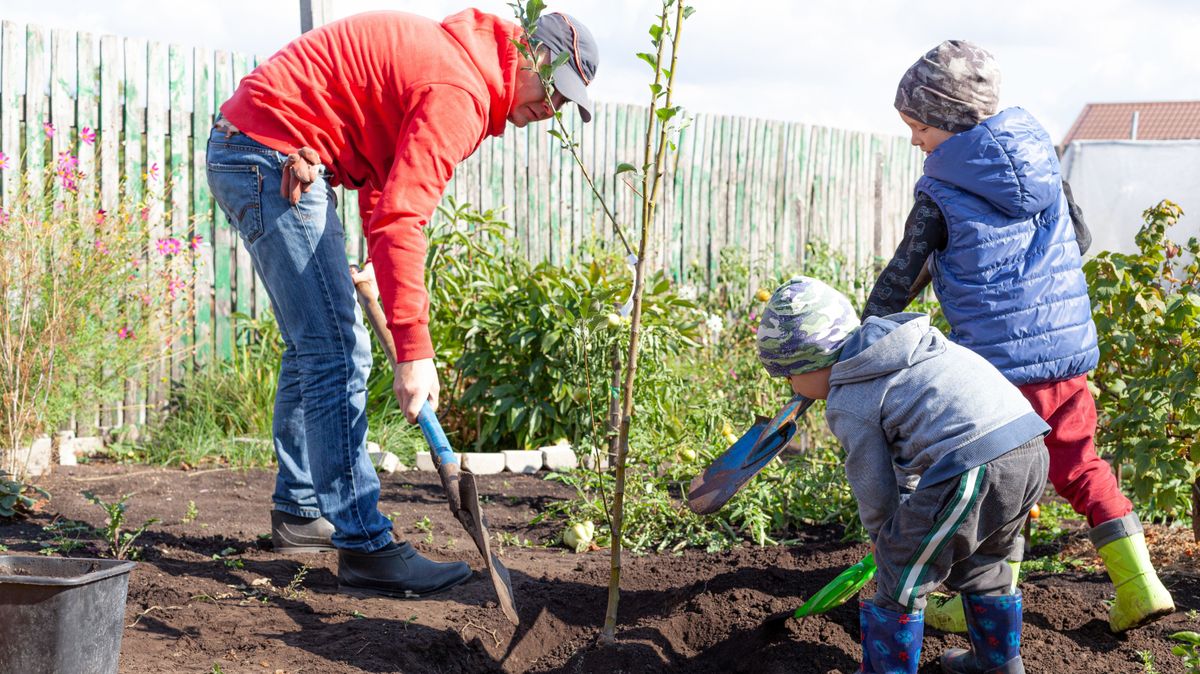 Father,And,Sons,Plant,A,Young,Tree,On,A,Small
Elérkezett az őszi kerti munkák ideje