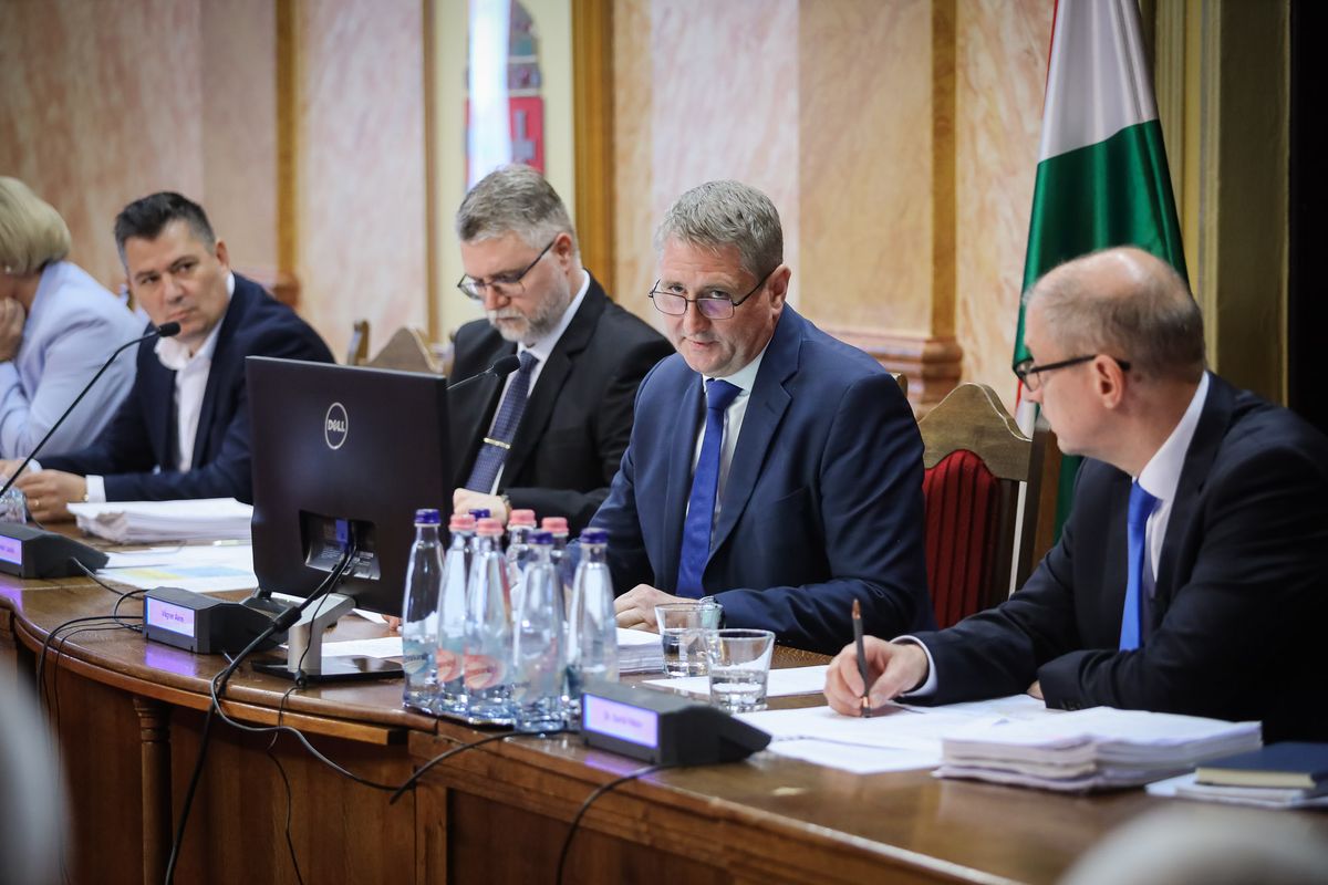 Vágner Ákos a közgyűlésen is beszélt arról, hogy az Eszterházy téren álló fa megmentésével foglalkoznak