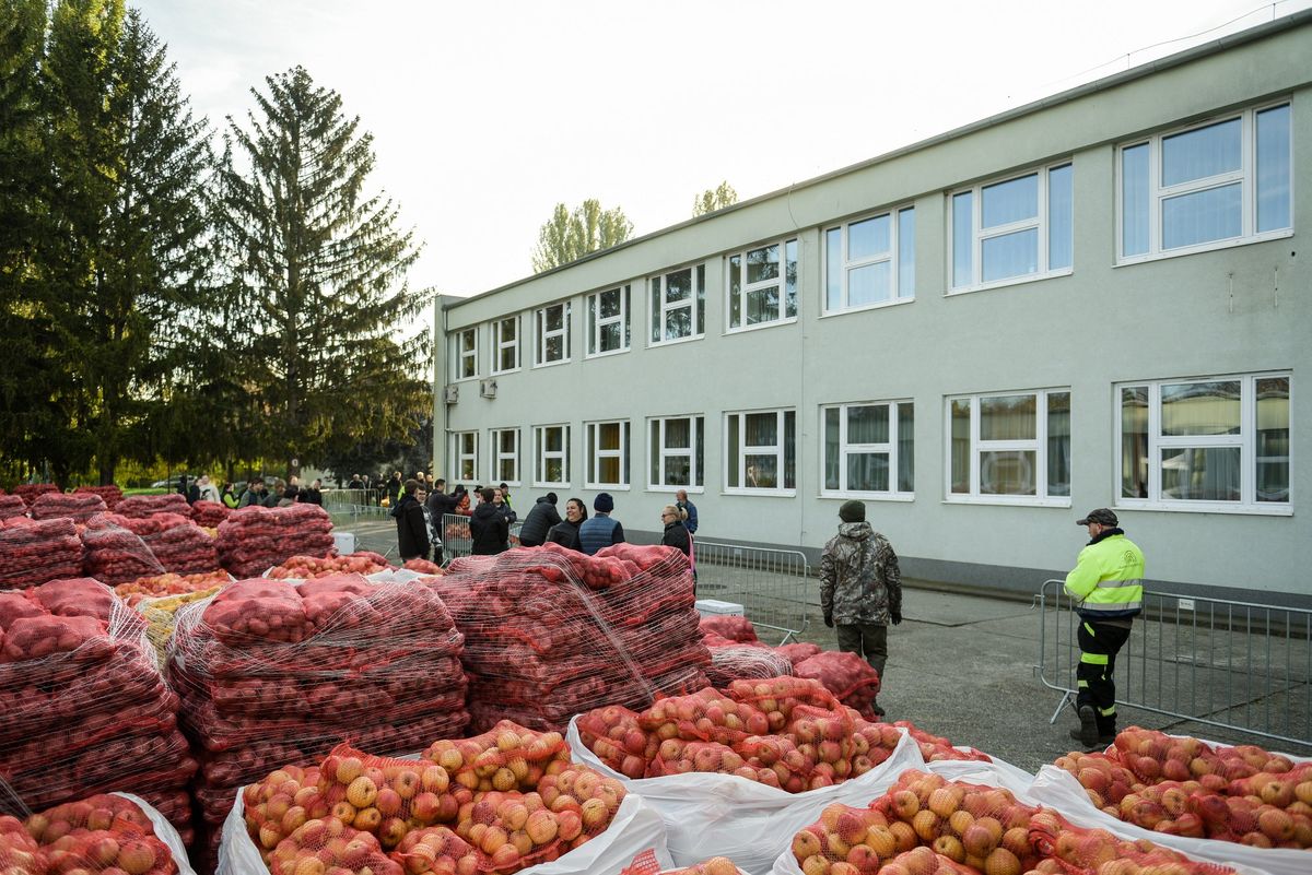 Rengeteg terményt osztottak szét Hatvanban