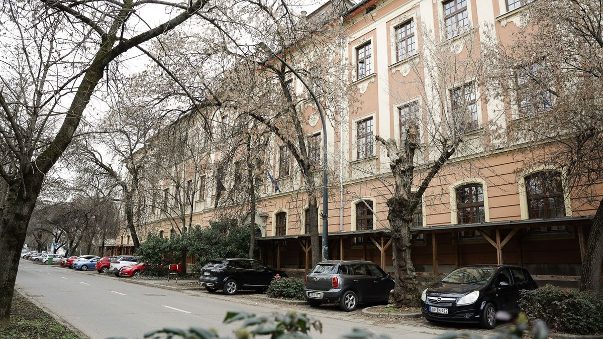 Az Andrássy az országos top100-as lista 19. helyén áll