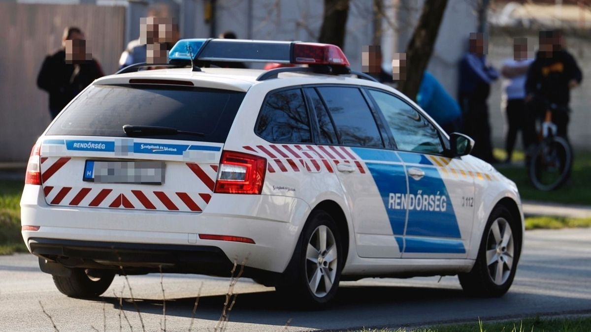 A gyilkosságok után feladta magát a rendőrségen a fiatal srác
