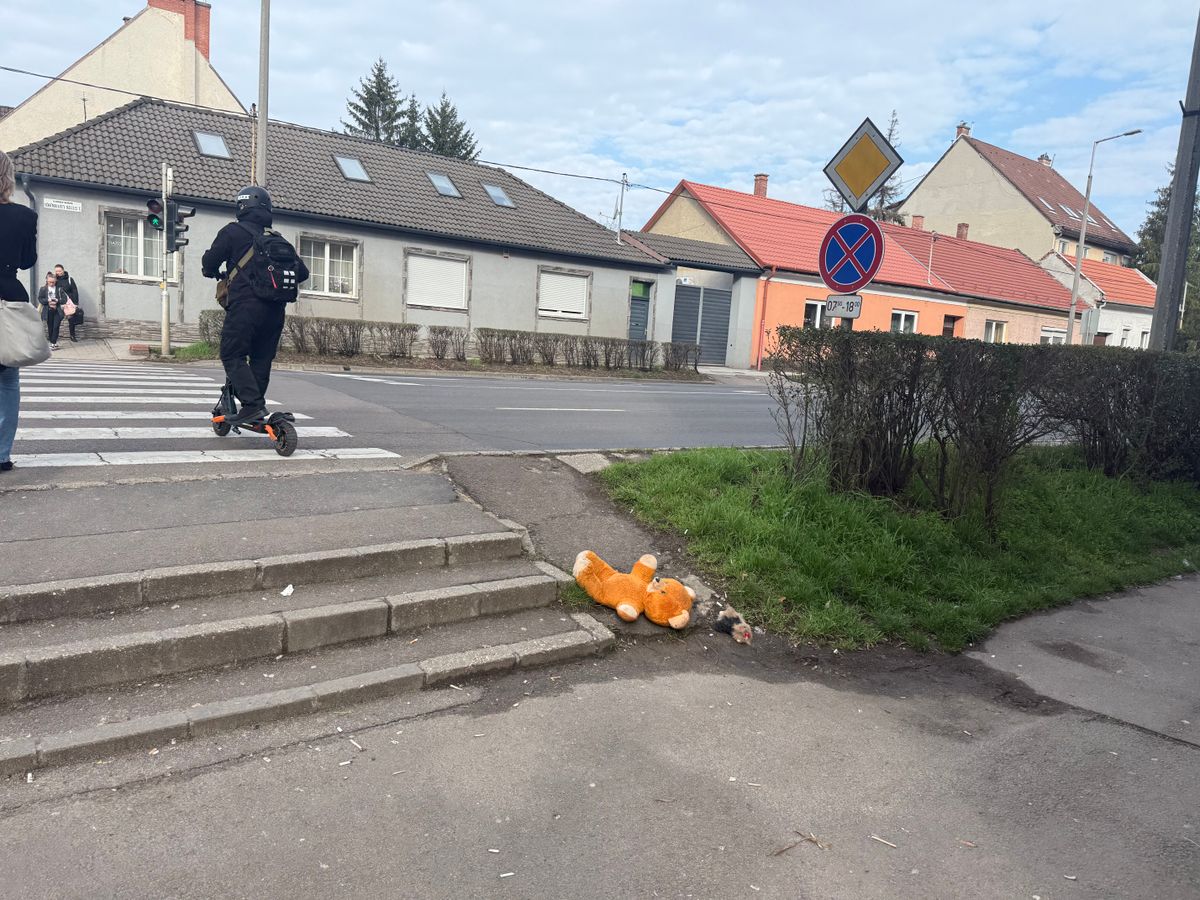 Hiába várja a medve a gazdit? Fotó: Szabadi Martina Laura/heol.hu