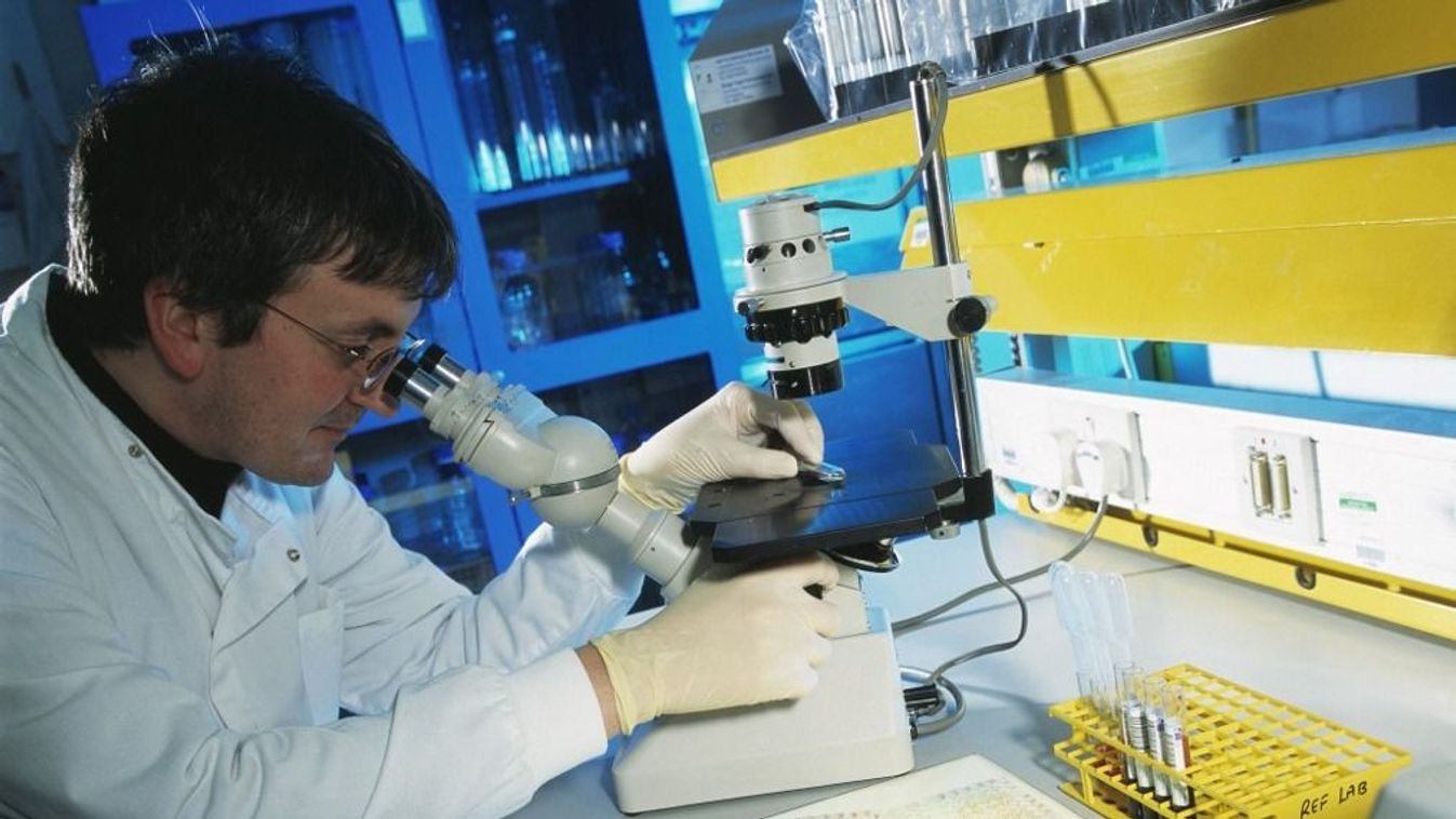 Háború: a gyorsan terjedő baktériumok aggasztó mértékben vannak jelen az ukránoknál