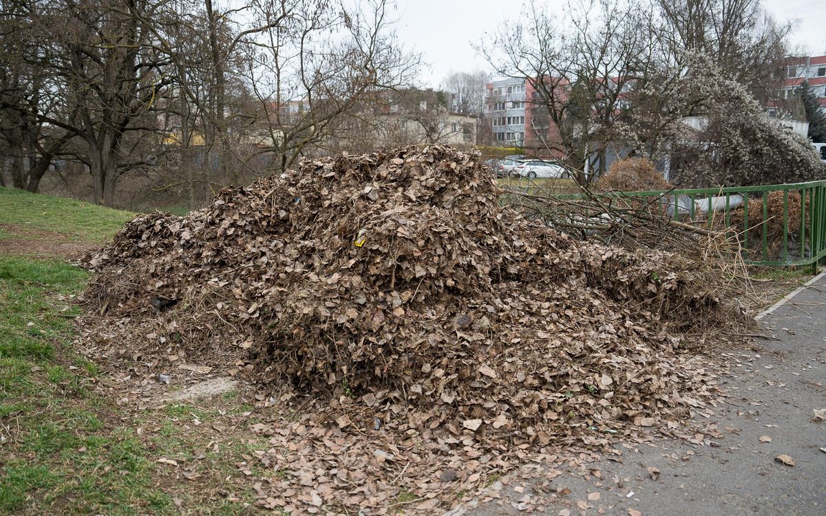 városgondozás, zöldhulladék, köztisztaság,