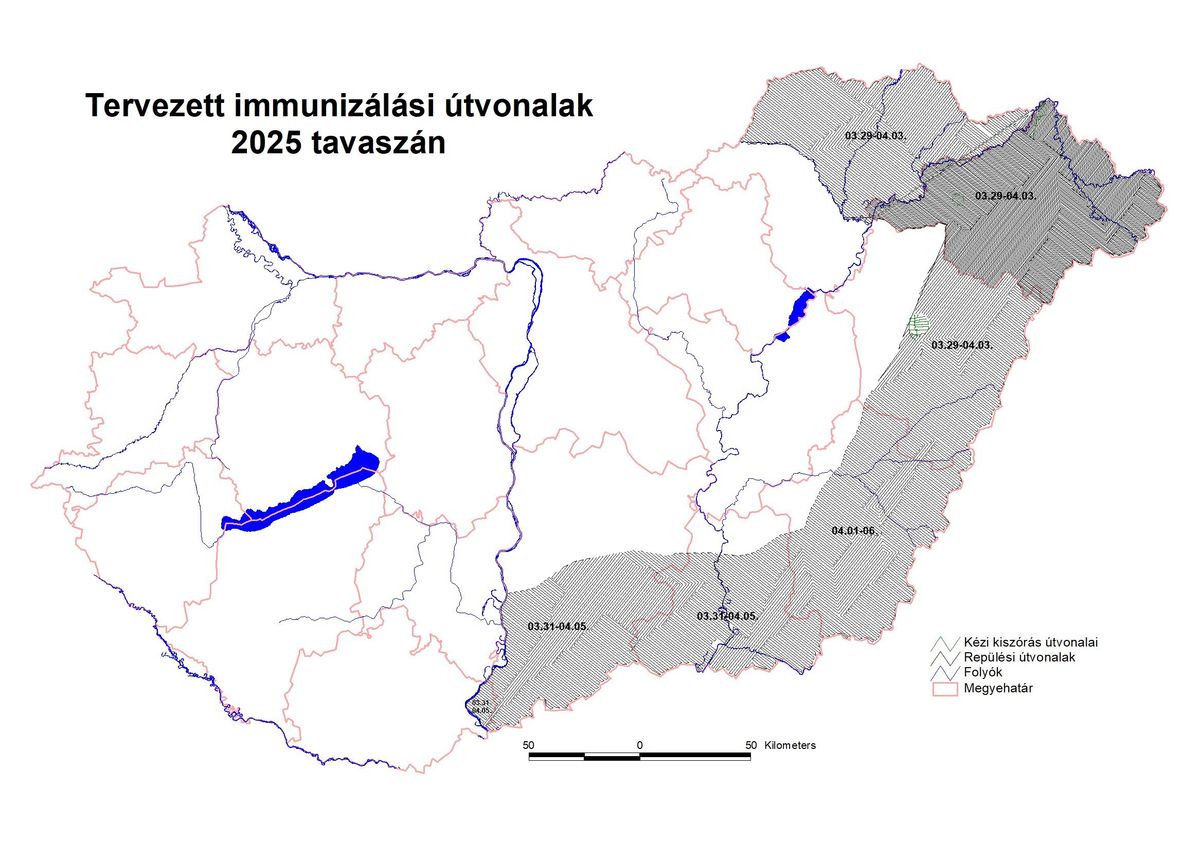 veszettség
