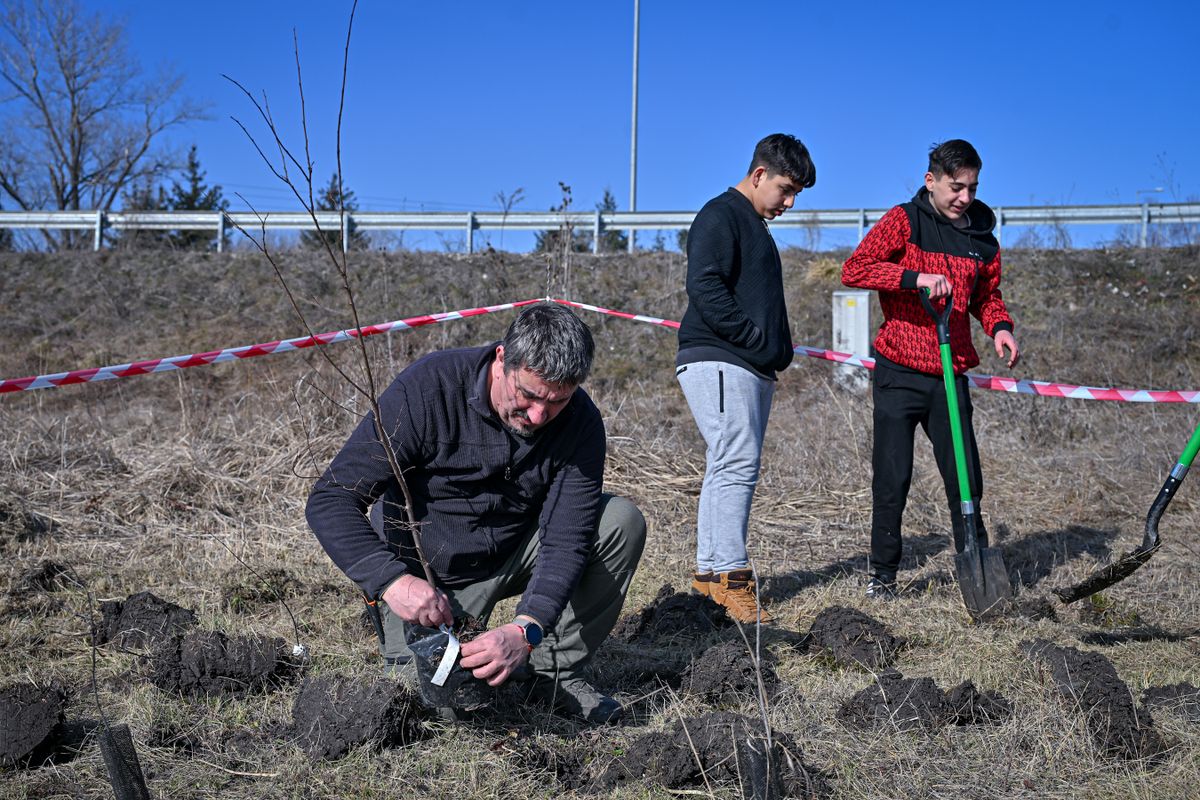 A Nemzeti Faültetés Napja alkalmából 1500 facsemete telepítéséhez kezdtek hozzá Egerben önkéntesek, folytatva a Miyawaki-erdőt