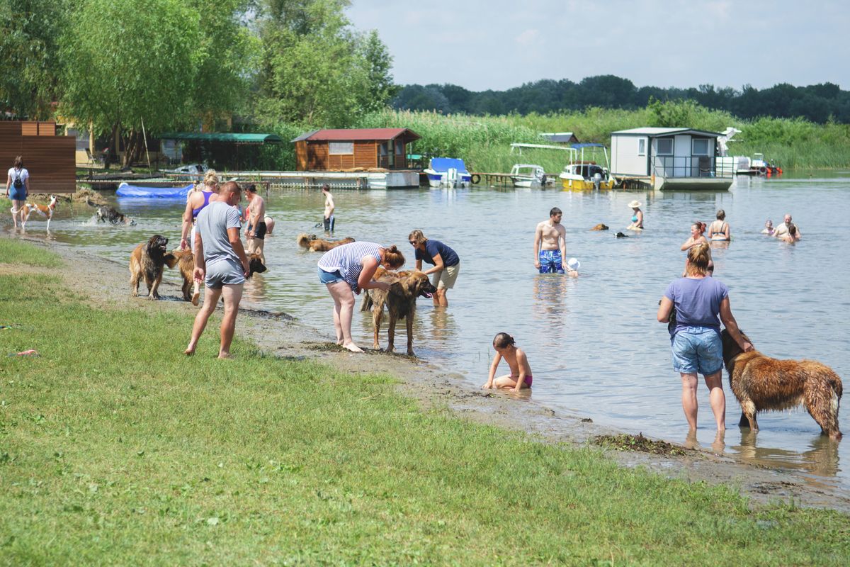 A Tisza-tónál elmarad a rendezvény