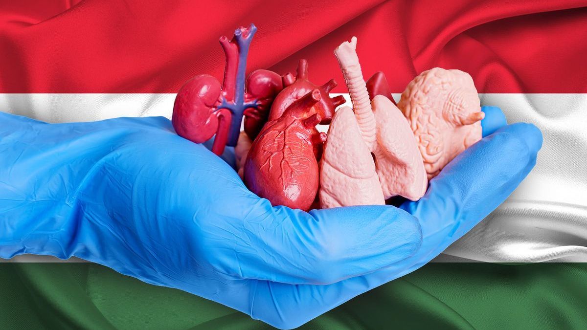 szervdonor, szervdonáció, donorok