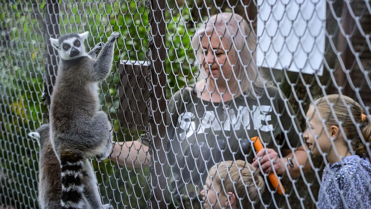 A Gyöngyösi Állatkert majálisa ismét vidám programot ígér
