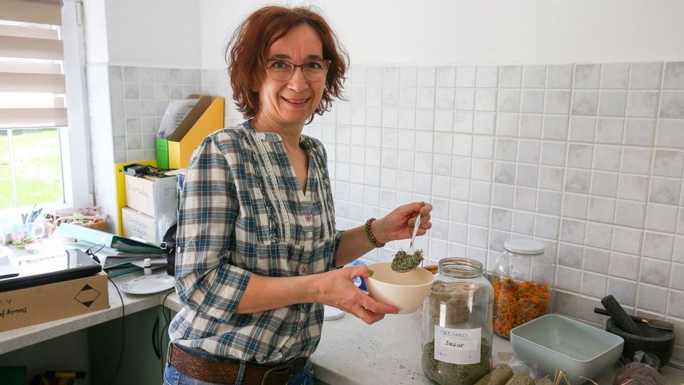 Kedvenc fűszere az oregánó? Vigyázzon, mert komoly bajt is okozhat!