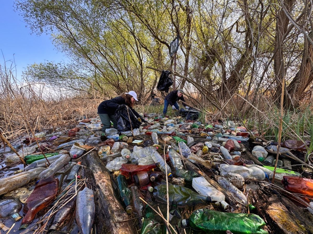 A Tisza-tó partján szomorú látvány ez a rengeteg szemét Fotó: SOS Tisza-tó.hu