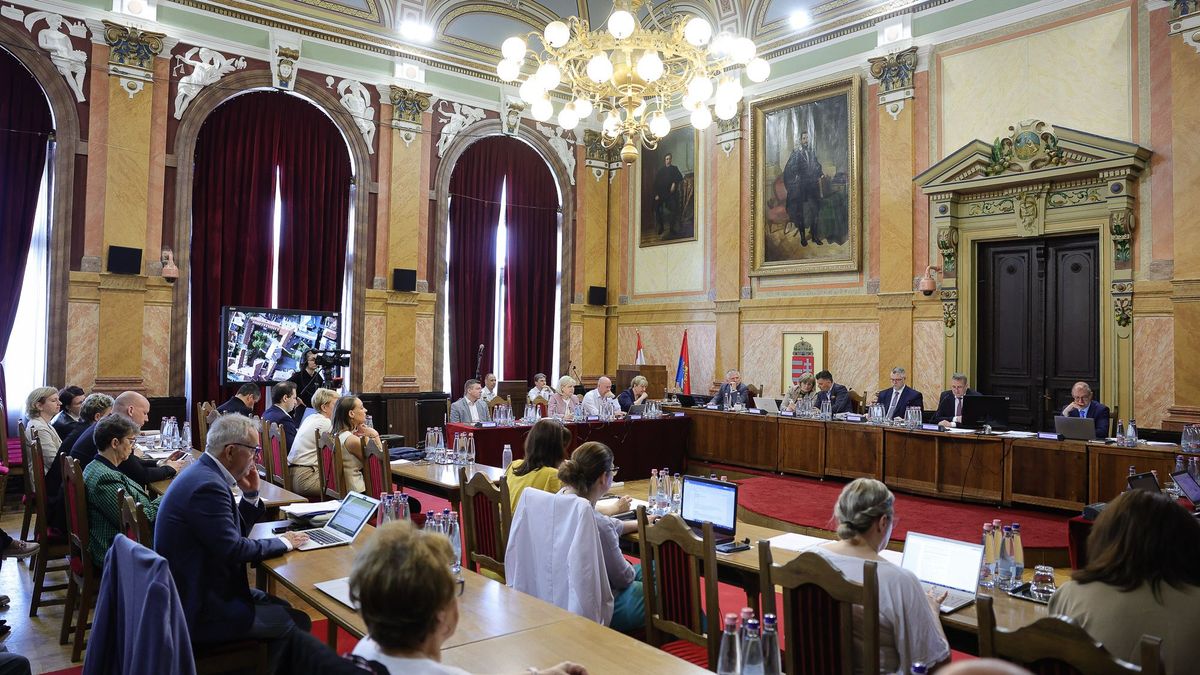 Egri úszó olimpiai versenyző lehet