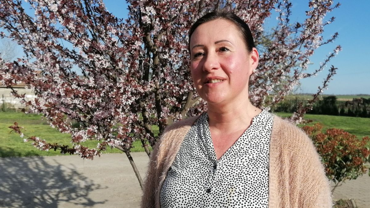Jancsovicsné Harnos Brigitta