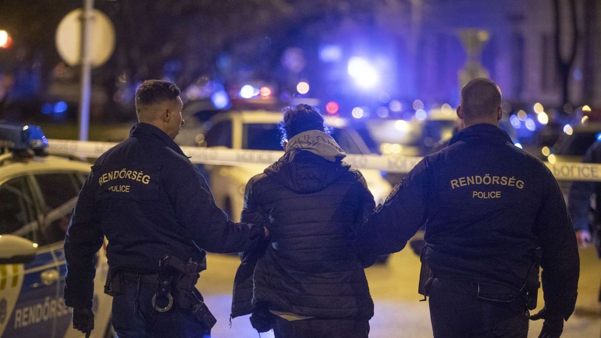 A gyöngyösoroszi támadó két