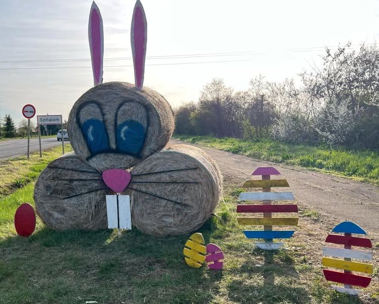 Húsvét idején bálanyuszi díszíti Szihalom települését