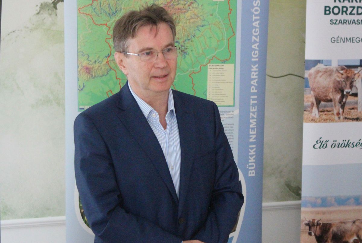 Dr. Pajtók Gábor szerint a régi mocsarak, amelyeket még ős is látott, eltűntek
