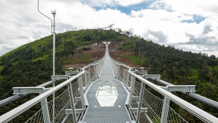 Cikk képe