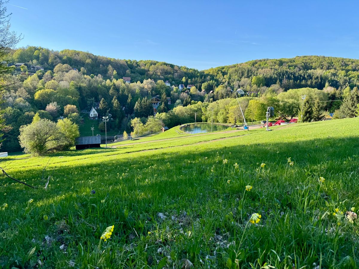 Zöld, alpesi kilátás várja a látogatókat a síparkban