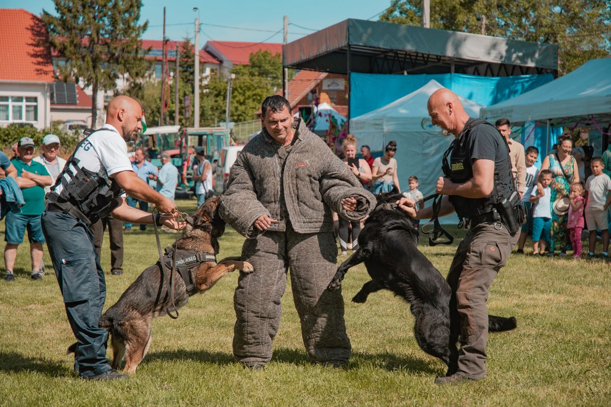 A poroszlói majálison kutyás bemutatót is tartottak