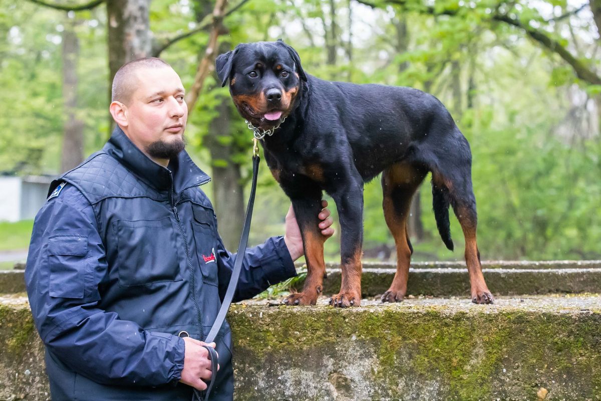 Házikedvencével járőrkutya-vezetői tanfolyam elvégzésére kapott esélyt