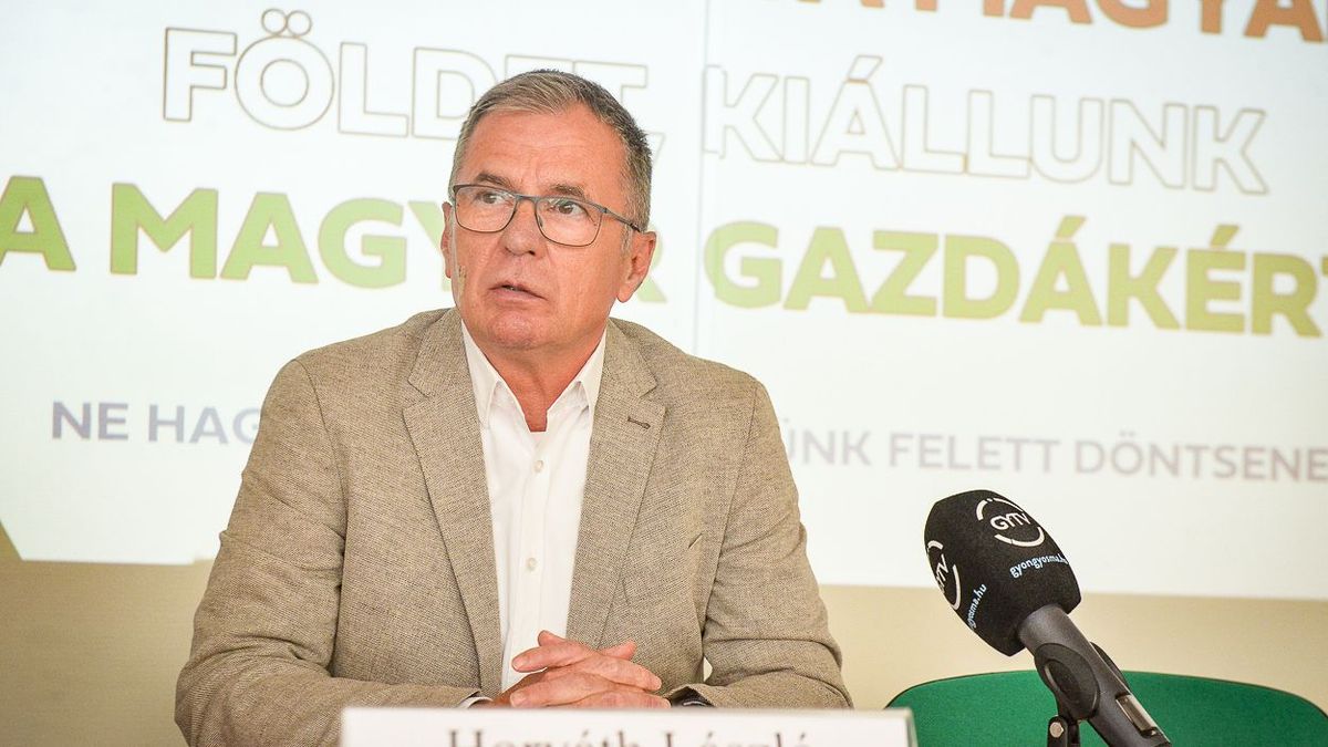 Horváth László szerint Ukrajna felvétele az EU-ba elhibázott, veszélyes, felelőtlen lépés lenne